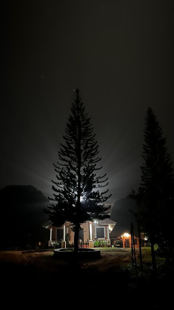 Janiro Tea Trees Villas Vythiri Exteriör bild