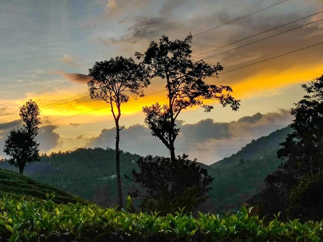 Janiro Tea Trees Villas Vythiri Exteriör bild