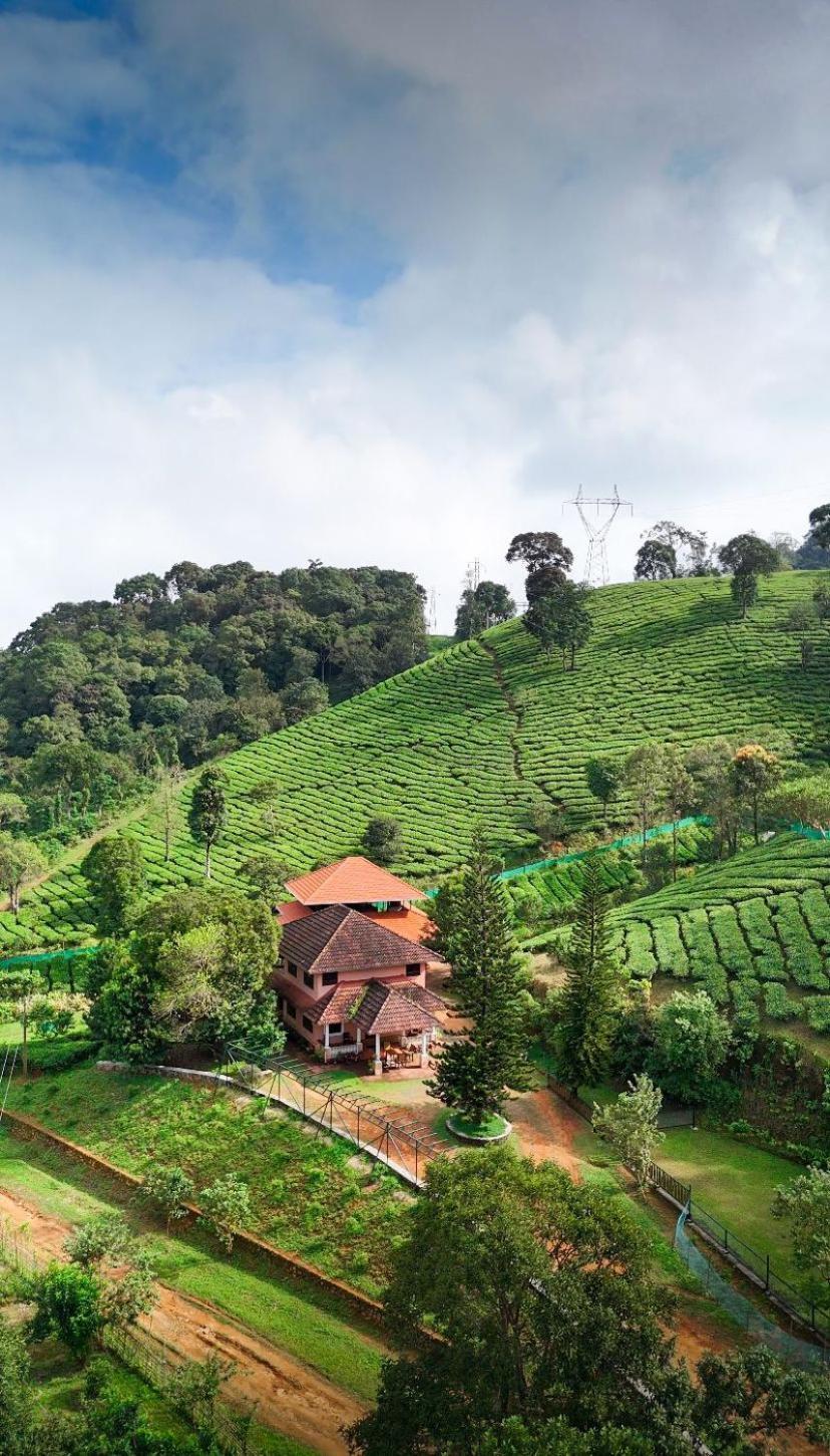 Janiro Tea Trees Villas Vythiri Exteriör bild
