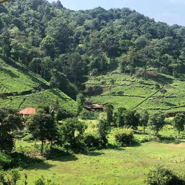Janiro Tea Trees Villas Vythiri Exteriör bild
