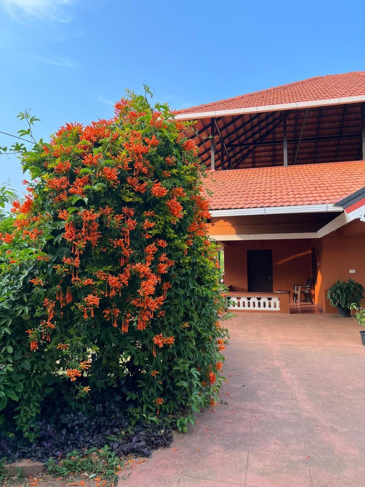 Janiro Tea Trees Villas Vythiri Exteriör bild